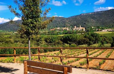 Cal Passió - Foto 46