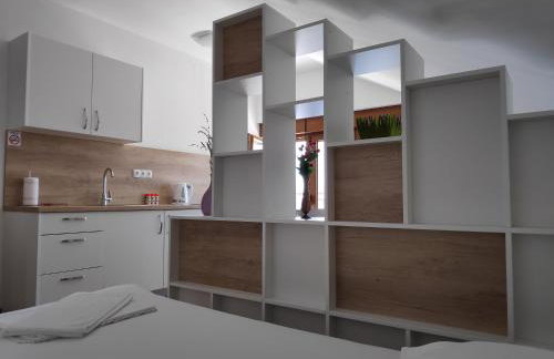 Apartman Anicic - Foto 6