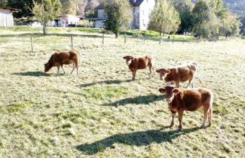 Gîte de la Ferme de la Comté - Foto 23