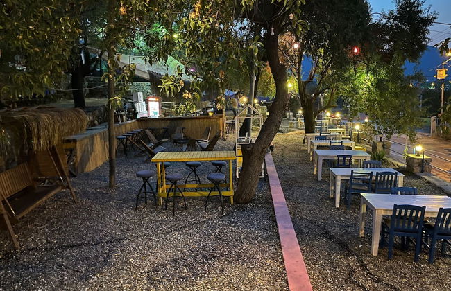 Palmira Selimiye - Foto 19