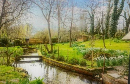 Till Cottage and Riverside Gardens nr Stonehenge - Foto 46