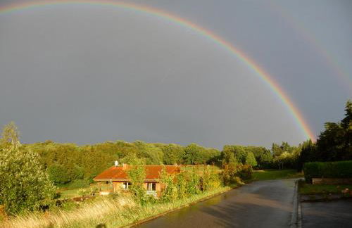 Norwegisches Blockhaus mit Gartensauna - Foto 20