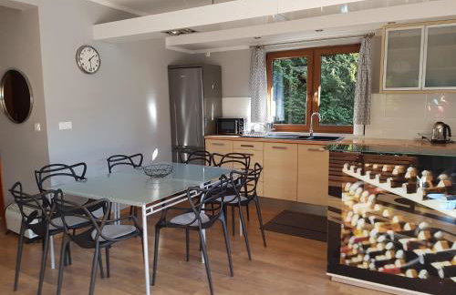 WIGWAM Dom z basenem na Kaszubach - Foto 4