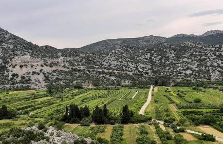 Holiday Home Vega in Nature with Pool - Foto 15