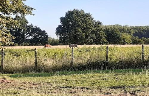 L'Epicurienne - Foto 24