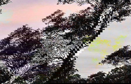 Woodlane Cottages - Foto 48