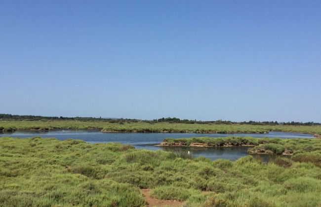 Apartment in Neureichenau - Foto 10