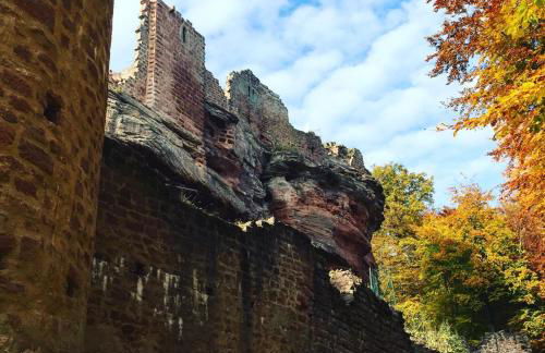 Meublés de Tourisme Heidelbeere - Foto 19