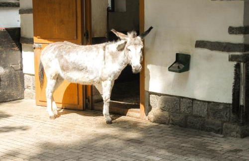 Bischofswerda Ferienwohnung Familienfreundlich Seniorengerecht - Foto 46