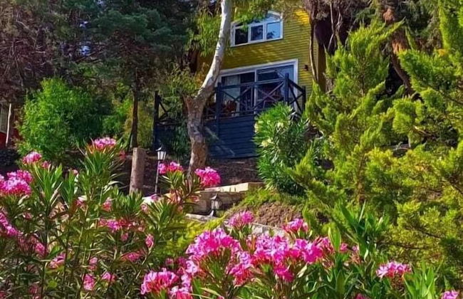 Sole Foca ( Ages 12+ ) - Foto 61