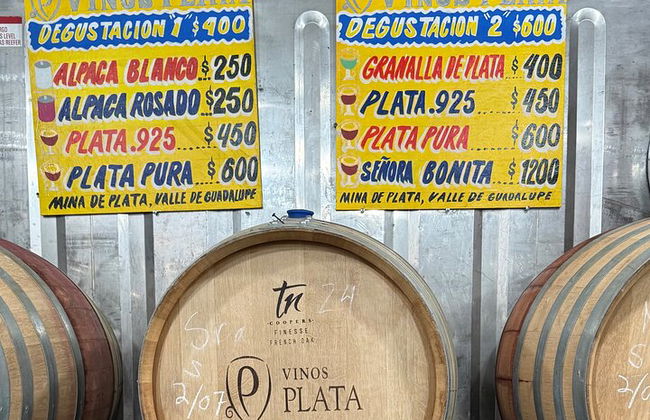 Private Deluxe Wine Tour to Valle de Guadalupe by Luxury Vehicle - Photo 39