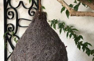 Authentic Vila Nona by NYC Interior Architect - Foto 40