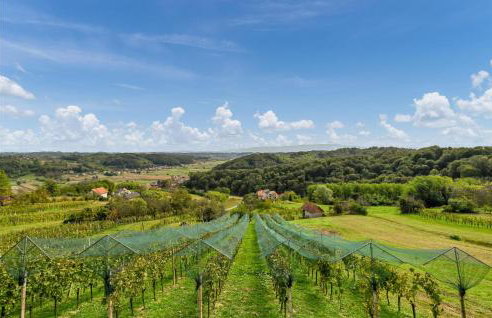 Stunning Home In Veliko Trgovisce - Foto 14