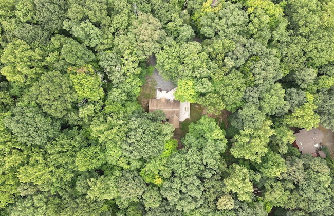 Dogwood Knoll - Wooded Escape - Foto 44