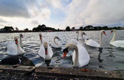 Beach House - Penthouse 3 Bed Apartment - Foto 98