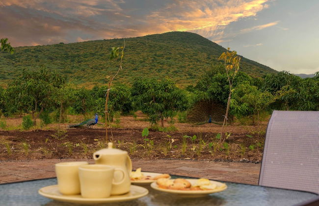 Amã Stays & Trails The Deck, Girnar Forest, Junagarh - Foto 28