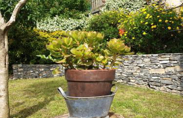 Collina e mare - Foto 10