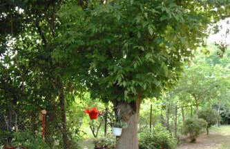 Zoe By The Sea - Foto 32