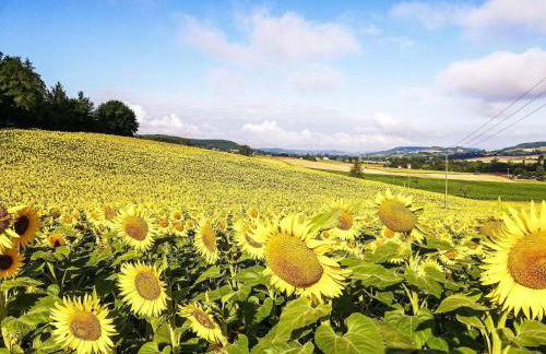 Beautiful holiday home with private pool - Foto 19