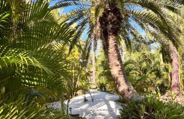 Island Paradise Awaits You - Foto 22