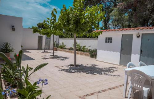 17 L Olivier - Foto 16