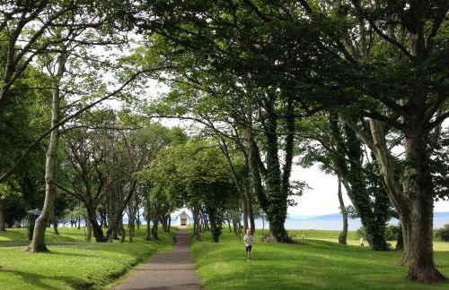 Wee Corsee - Foto 28