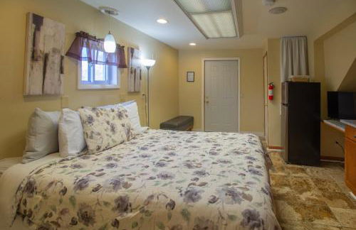 Stay In Ohiopyle in the middle of town by the GAP trail - Foto 33