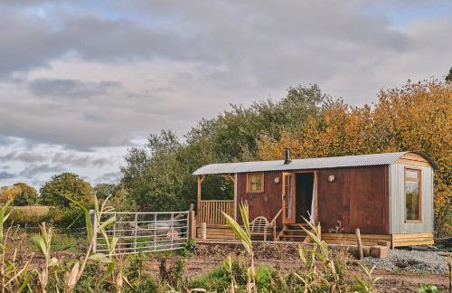 Big Sky Hideaway - Foto 16