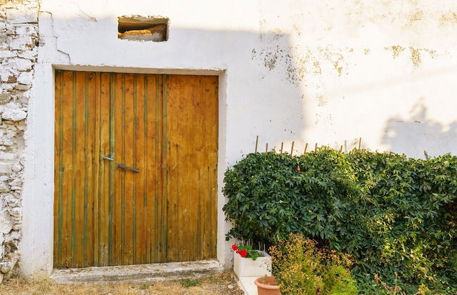 EMPHASIS Traditional House - Foto 28