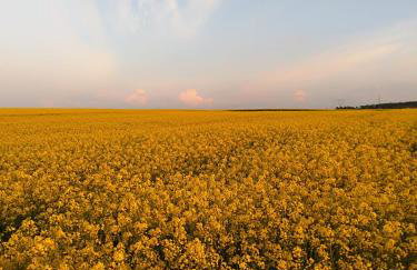 Świerkowa Chata - Foto 16