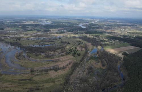 Zacisze leśne w Juliance - Foto 22