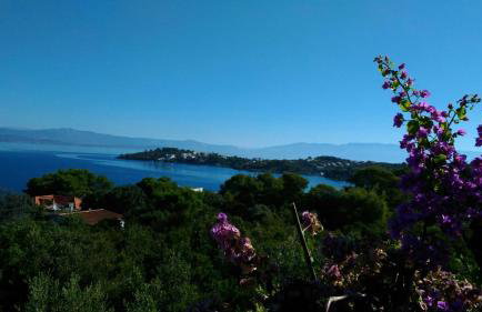 Apartment Bura - Foto 5