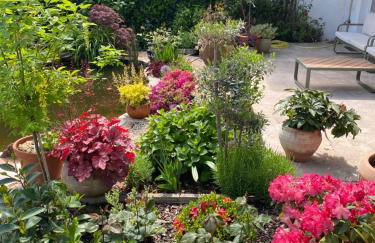 Pension mit Moselblick - Foto 80