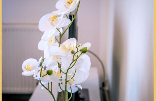 Chez Dams I T2 I Annecy - Foto 20