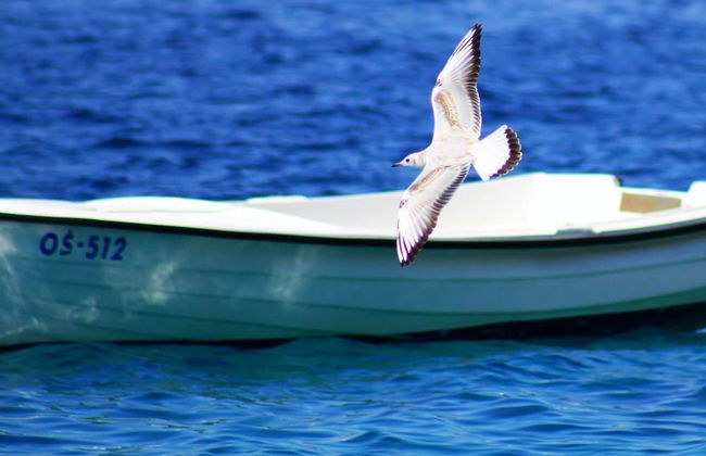 Apartments Danolic 2 - Foto 35