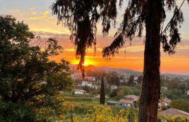 Vite in Rosa La Casetta - Foto 37