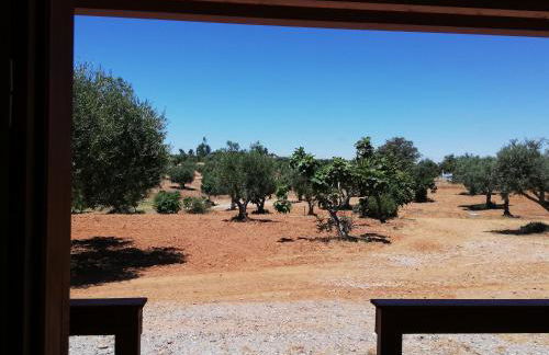 Burrico D`Orada - Rural Stays & Wine Country Tours - Foto 30