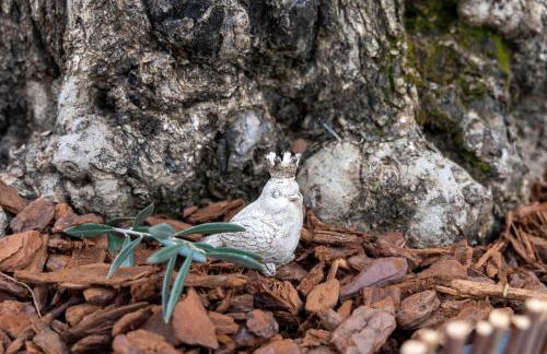 Landglück 1 - Foto 23