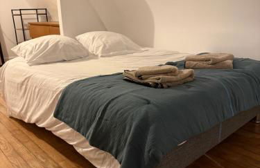 Duplex de charme Quimpérois Place Saint-Corentin - Foto 13