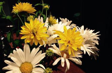 La Hoja de Roble - Photo 27