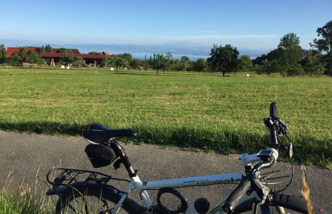 Holiday Apartment Feel-good Time - Photo 27