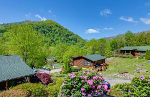Maggie Valley Cabin 4 Mi to Cataloochee Ski Area! - Foto 53