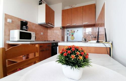 Apartments Grebović - Foto 9