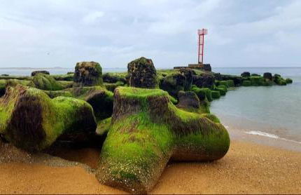 Nouveau - Maison en bord de mer avec jardin privatif - Foto 11