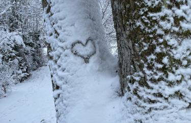 FÜNF ROSEN Boutique Apartment - Bio-Ferienwohnung am Staffelsee im Blauen Land - Foto 33