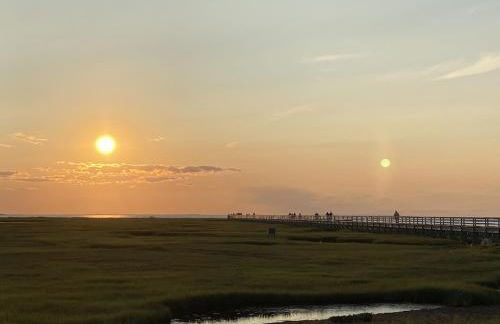 A Cozy Cape house steps to Restaurants & Beaches ~1.4 miles down scenic roads - Foto 49