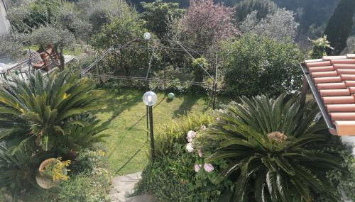 Casa Andreina - Photo 5, Garden, Garden view