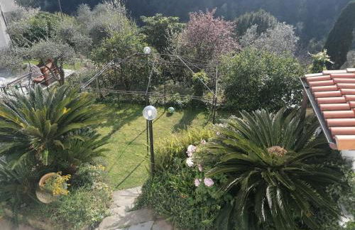 Casa Andreina - Foto 5