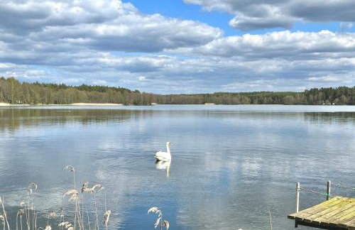 Raj na Kaszubach - Pałubicka Bór - Domy na Wynajem - Foto 55