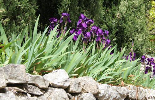 Maison Les Chênes - Jacuzzi - Calme & Idéalement situé - Clim - Salle de Jeux - Parking - Foto 73